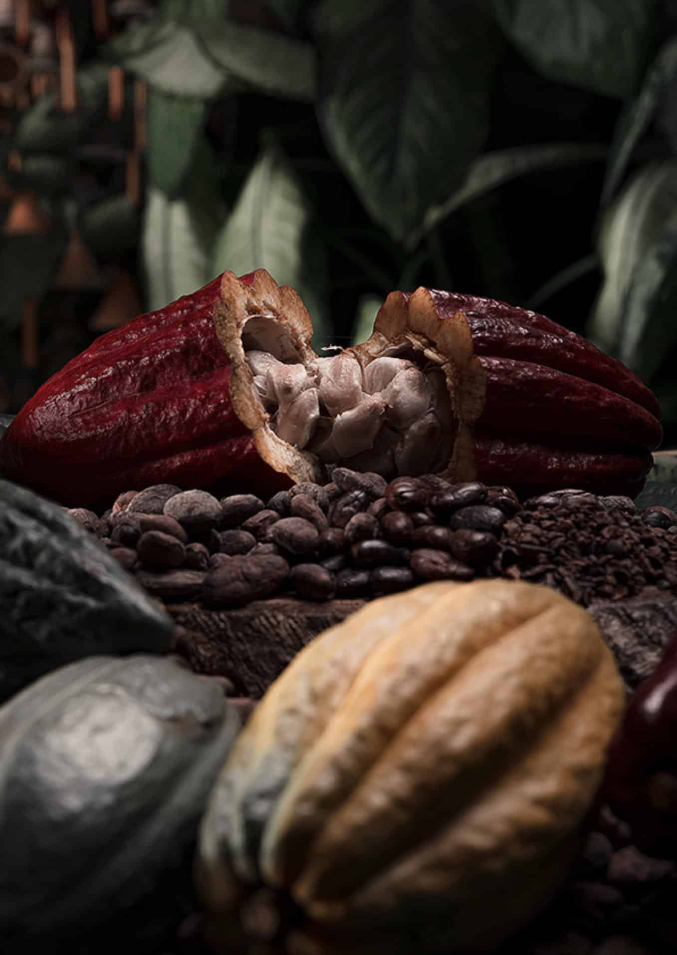 What Are the Negatives of Cacao?